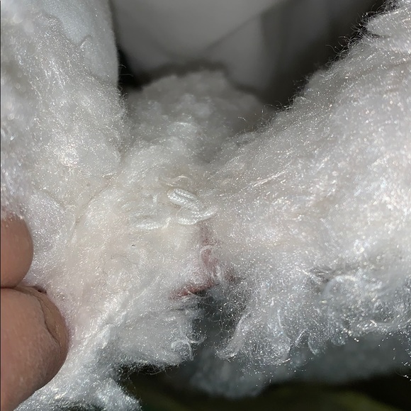 Free The Roses Coat - Picture 4 of 4